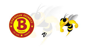 Image result for Birmingham Brummies