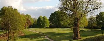 Image result for Betchworth Park Golf Club