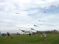 Image result for Kite Club of Scotland