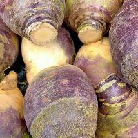 Afbeeldingsresultaat voor slim jim eggplant