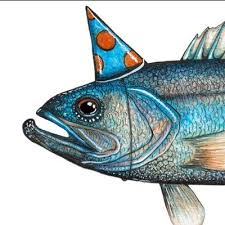 Image result for Cymatoceps nasutus