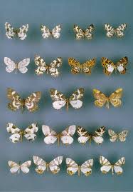 Attēlu rezultāti vaicājumam “Eulithis pyropata”