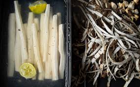 Image result for Schwarzwurzeln