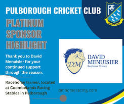 Image result for Pulborough Cricket Club