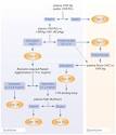of <b>von Willebrand</b> disease