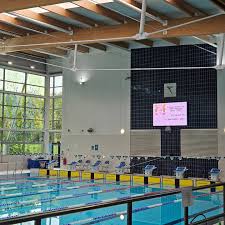 Image result for LEICESTER SYNCHRONIZED SWIMMING CLUB