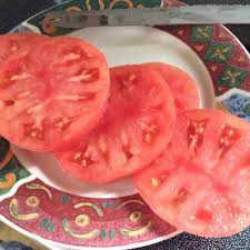 Afbeeldingsresultaat voor crnkovic yugoslavian tomato