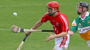 Image result for hurling