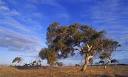Language test deters new citizens in Australia | Education
