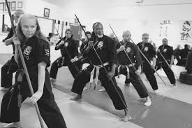 Image result for Ndm Martial Arts