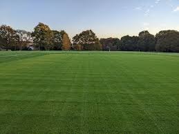 Image result for Southborough Cricket Club