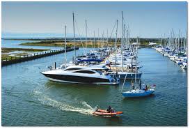 Image result for Lymington Cc