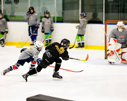 Image result for Pontypool Skater Hockey Club