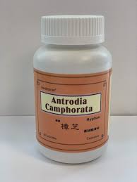 Attēlu rezultāti vaicājumam “Antrodia”