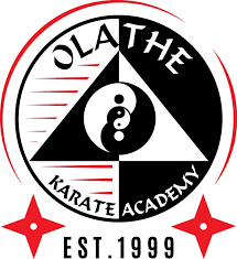 Image result for Hetton and Murton Karate Academy