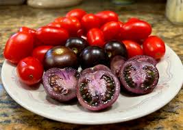 Afbeeldingsresultaat voor 1884 purple tomato