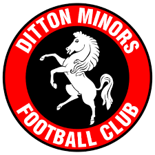 Image result for Thames Ditton Schools Fc