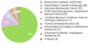 Attēlu rezultāti vaicājumam “Bryum neodamense macro”