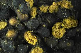 Attēlu rezultāti vaicājumam “Trichia alpina”