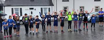 Image result for Wee County Harriers