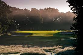 Image result for Brokenhurst Manor Golf Club