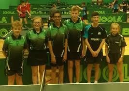 Image result for Alexandra Table Tennis Club