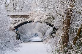 Image result for ninetree hill bristol