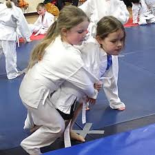 Image result for Croydon Judo Club