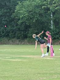 Image result for Chard Cricket Club