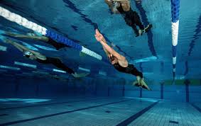 Image result for Swansea Finswimming Club