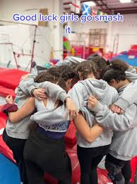 Image result for Arabian School Of Gymnastics, Milton Keynes