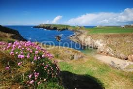 Seacoast of Ireland from Robert Fudali, Royalty-free stock photo ...