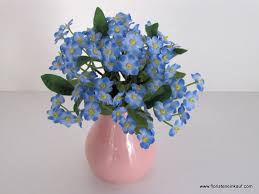 Image result for Vergissmeinnicht