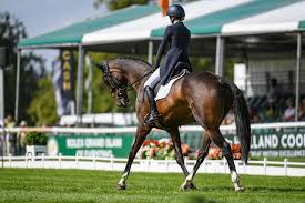 Image result for Chase & Upton Badminton Club