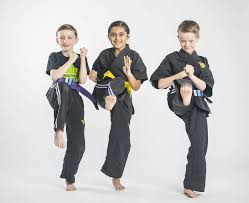 Image result for Combined self defence arts
