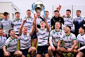 Image result for University Of Limerick Gaa Hurling Club