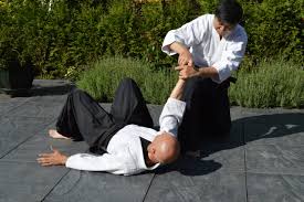 Image result for Hachidori ju-jitsu Martial Arts