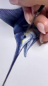 Image result for Kajikia albida