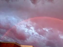 Attēlu rezultāti vaicājumam “Red Rainbows”