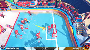 Image result for Indoor Hockey (Casual Use)