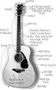 How To Play Guitar Songs For Beginners Acoustic — Jamorama Review