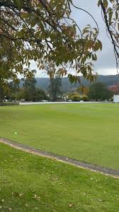 Image result for Bucklebury Cricket Club