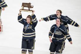 Image result for Shrewsbury Hockey Club