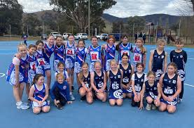 Image result for Molineux Netball Club