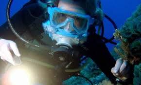 Image result for skiptondivers