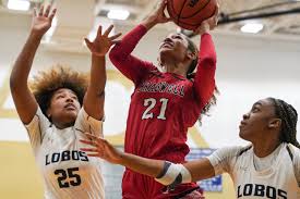 Image result for Elmbridge Girls Basketball Club