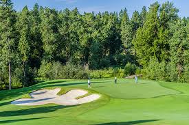 Image result for Ravenspark Golf Club