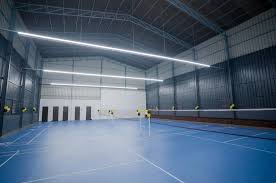 Image result for Falcons Badminton Club