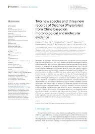 Attēlu rezultāti vaicājumam “Diachea muscorum stalked”