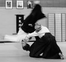 Image result for Matlock Aikido Club